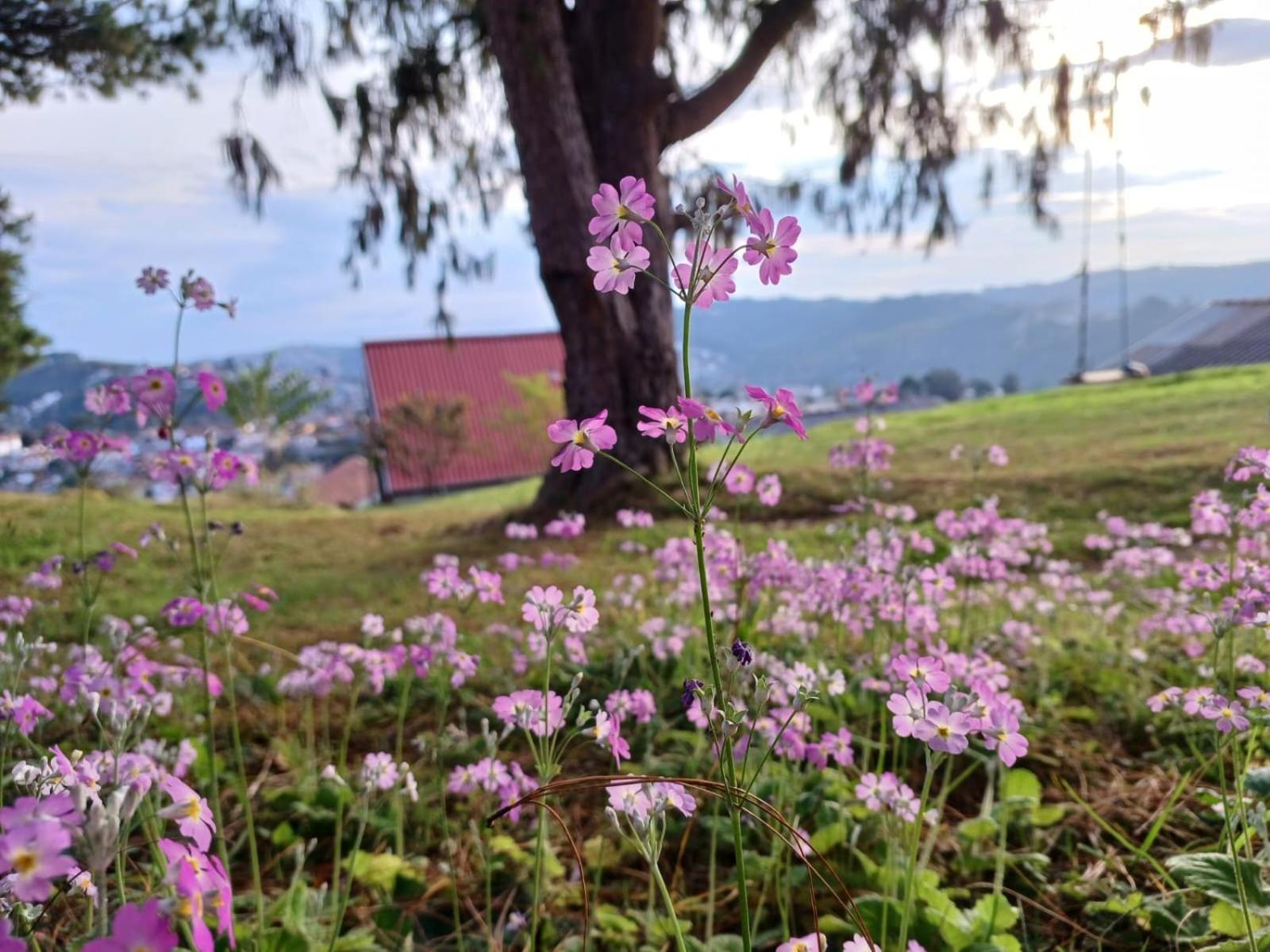 Holiday home Alto Da Serra 2 Campos do Jordao