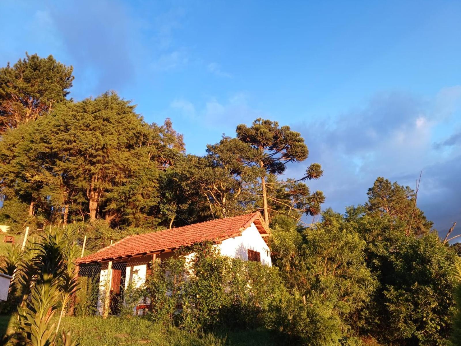 Alto Da Serra 2 Holiday home *
